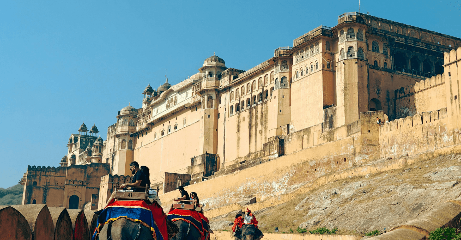 Contact Trivoya Travels