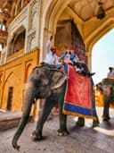 Licensed Local Guides